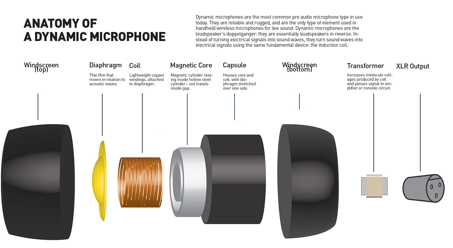 How Dynamic Microphones Create Audio Signal